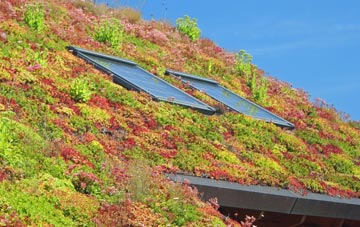Ansty Cross living roof systems